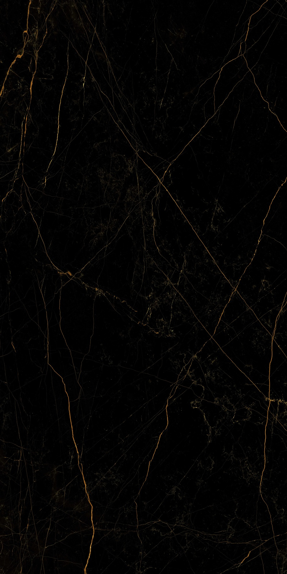 Black-Noir
